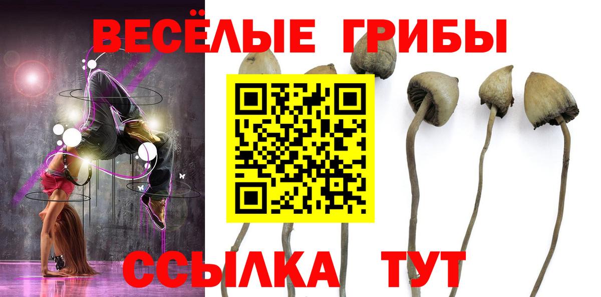 Галлюциногенные грибы Magic Shrooms  Вход с VPN  Шелехов 